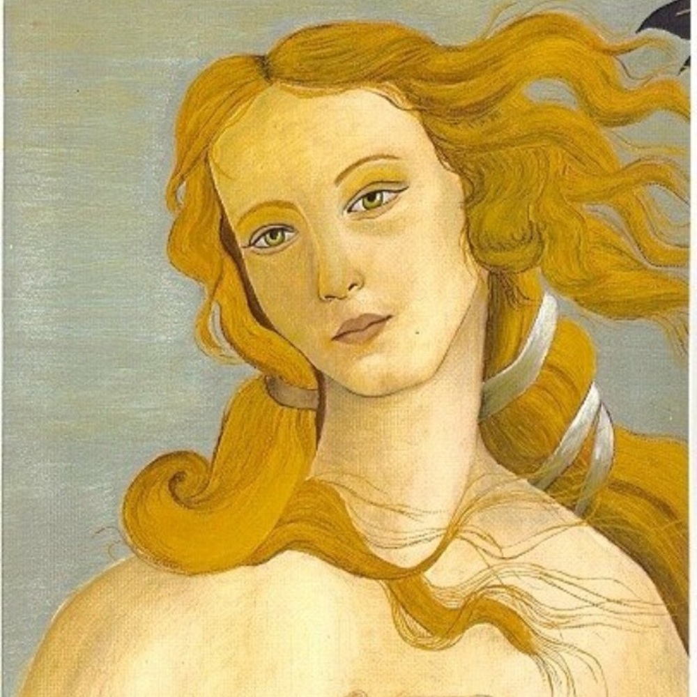 Print of the Birth of Venus that I painted myself